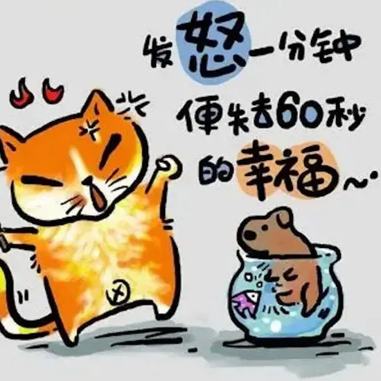 综艺名称3